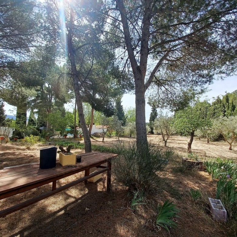 Villa in Sax (Ref: 9030 PT3117)