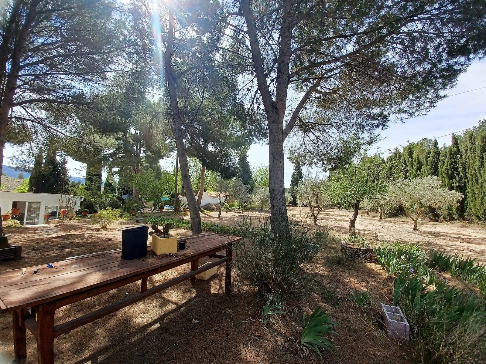 Villa in Sax (Ref: 9030 PT3117)