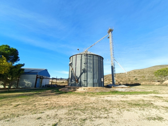 Commercial in Hondón de los Frailes (Ref: AM-BODEGA)