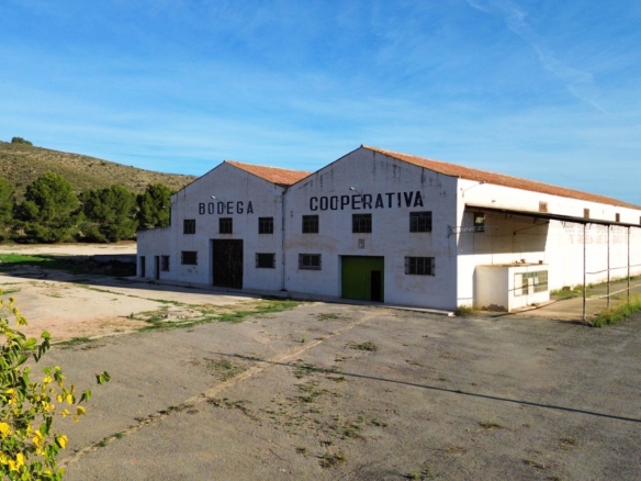 Commercial in Hondón de los Frailes (Ref: AM-BODEGA)