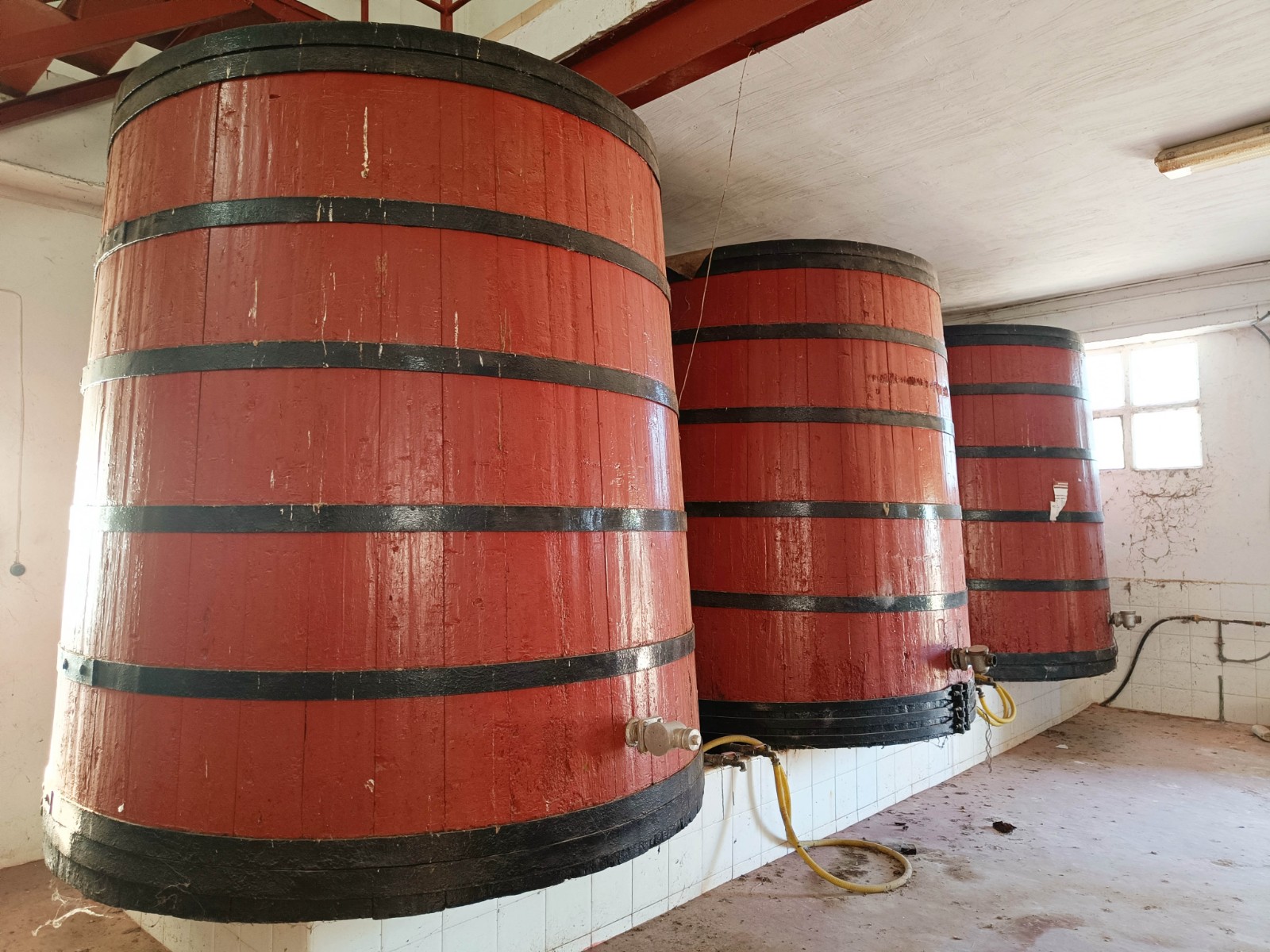 Commercial in Hondón de los Frailes (Ref: AM-BODEGA)
