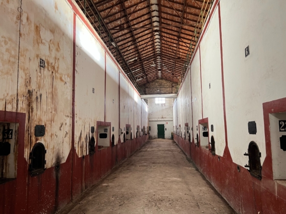 Commercial in Hondón de los Frailes (Ref: AM-BODEGA)