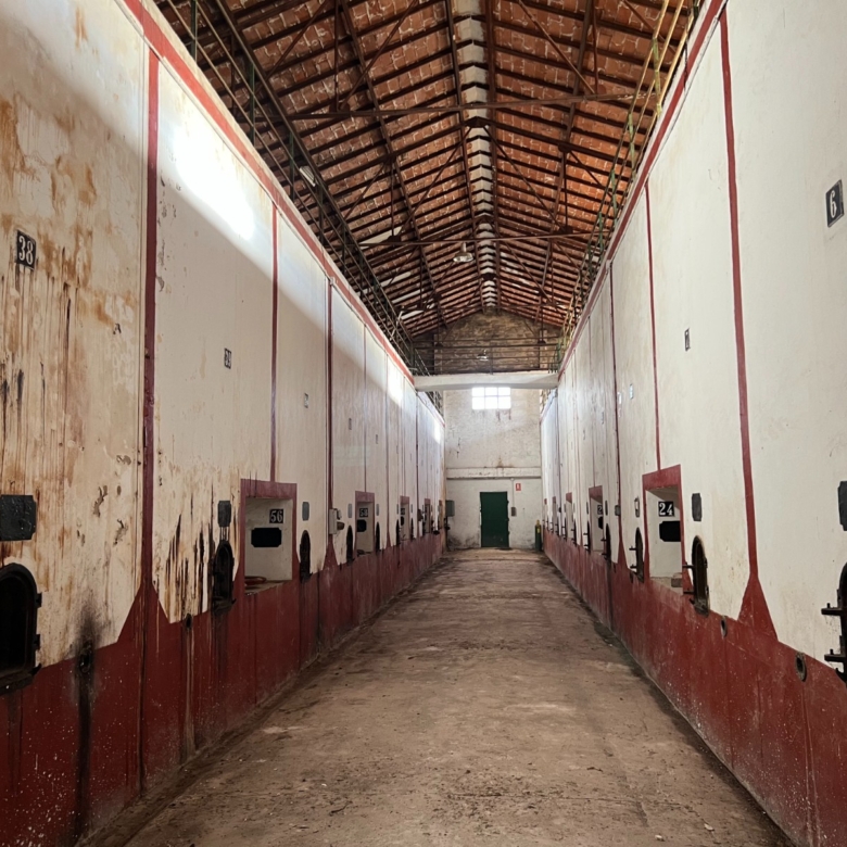 Commercial in Hondón de los Frailes (Ref: AM-BODEGA)