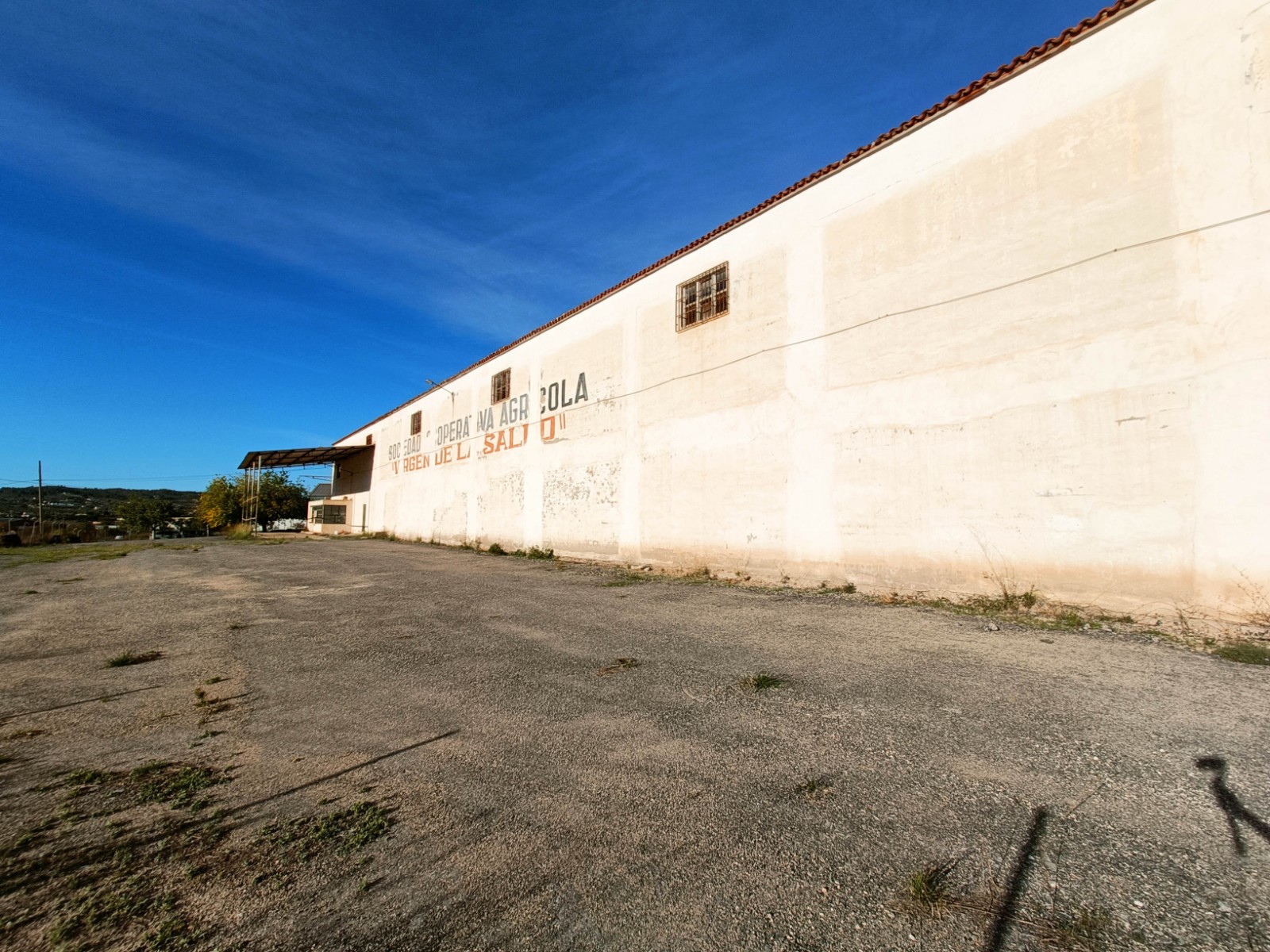 Commercial in Hondón de los Frailes (Ref: AM-BODEGA)