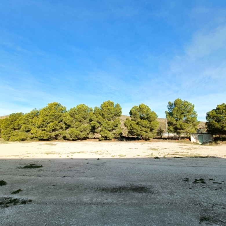 Commercial in Hondón de los Frailes (Ref: AM-BODEGA)