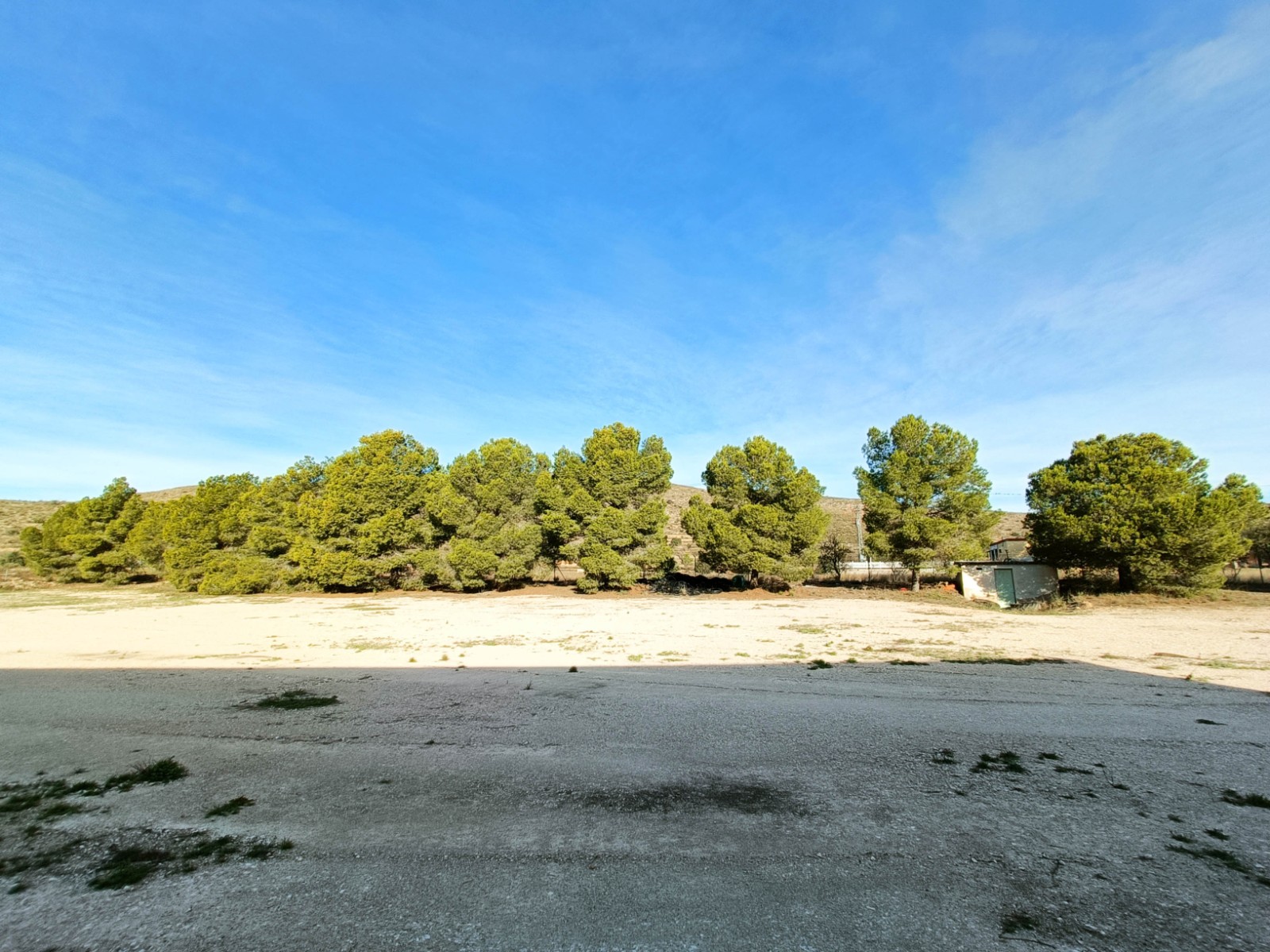 Commercial in Hondón de los Frailes (Ref: AM-BODEGA)