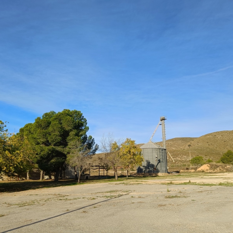 Commercial in Hondón de los Frailes (Ref: AM-BODEGA)