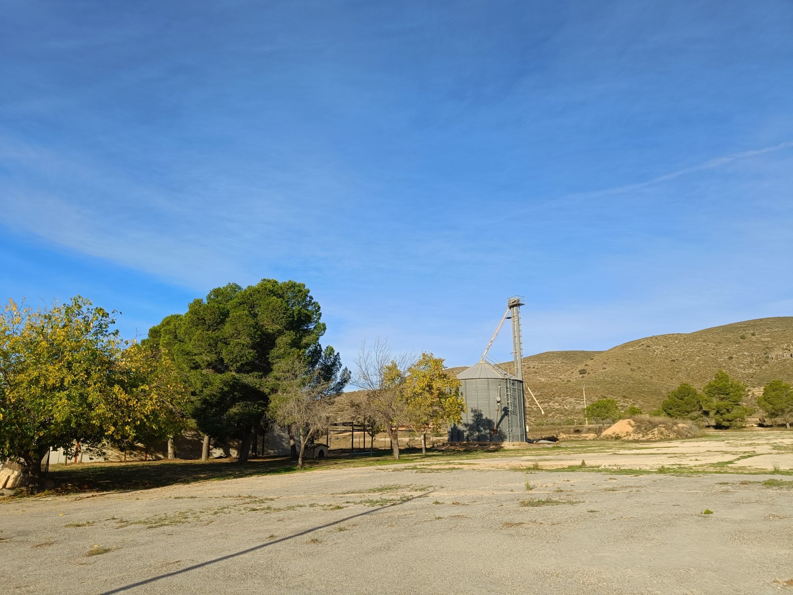 Commercial in Hondón de los Frailes (Ref: AM-BODEGA)