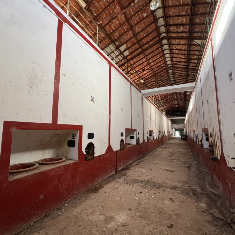 Commercial in Hondón de los Frailes (Ref: AM-BODEGA)