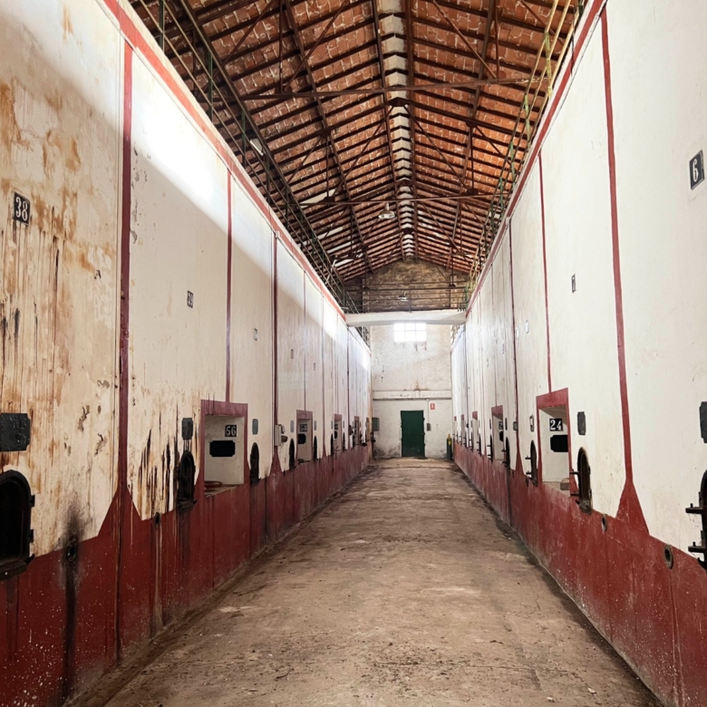 Commercial in Hondón de los Frailes (Ref: AM-BODEGA)