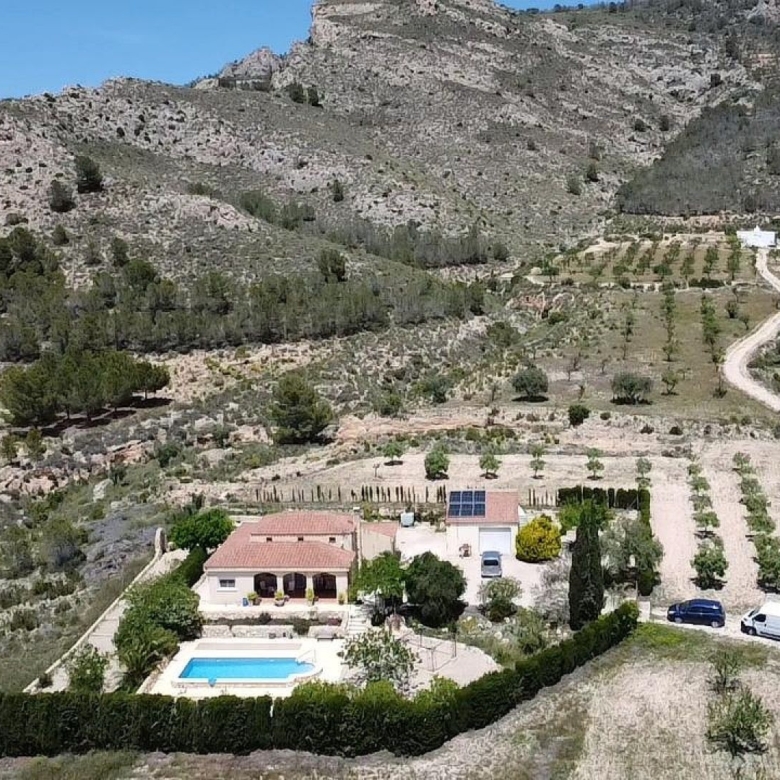 Villa in Sax (Ref: 9031 GM2467)