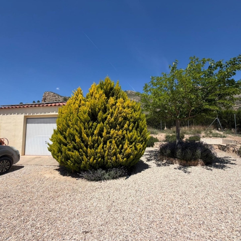 Villa in Sax (Ref: 9031 GM2467)