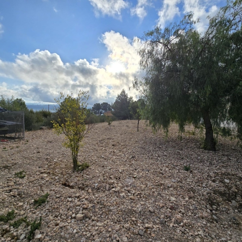 Villa in Sax (Ref: 5039 IVD13830)
