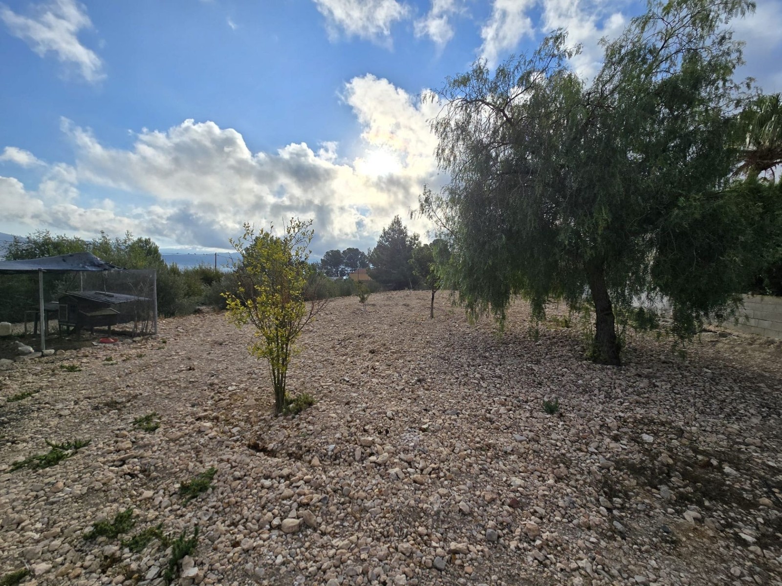 Villa in Sax (Ref: 5039 IVD13830)