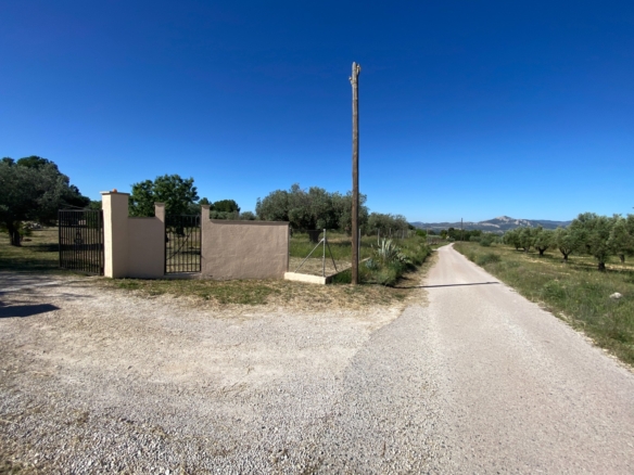 Finca/Rustic Property in Sax (Ref: 18229)