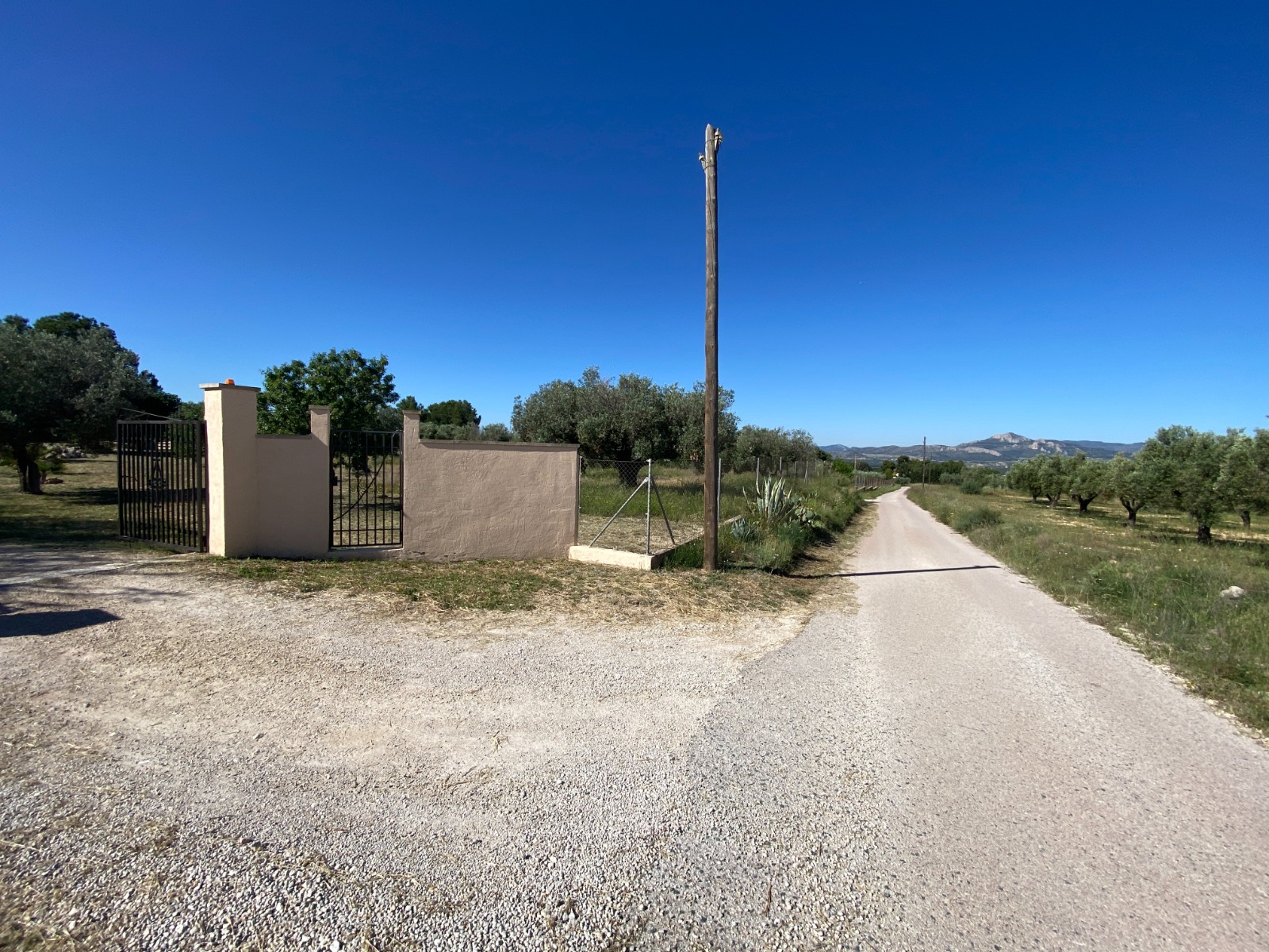 Finca/Rustic Property in Sax (Ref: 18229)
