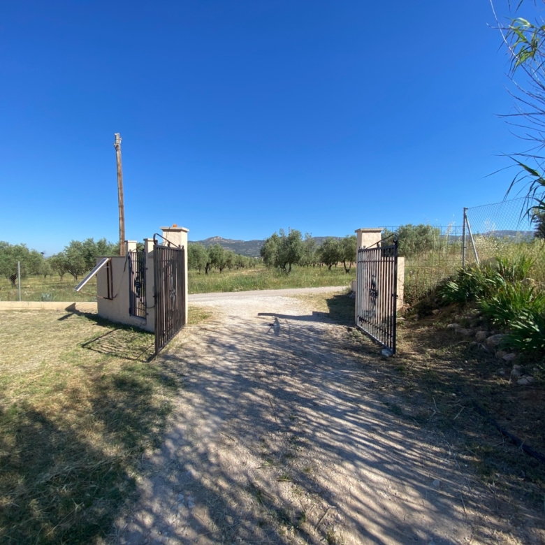 Finca/Rustic Property in Sax (Ref: 18229)
