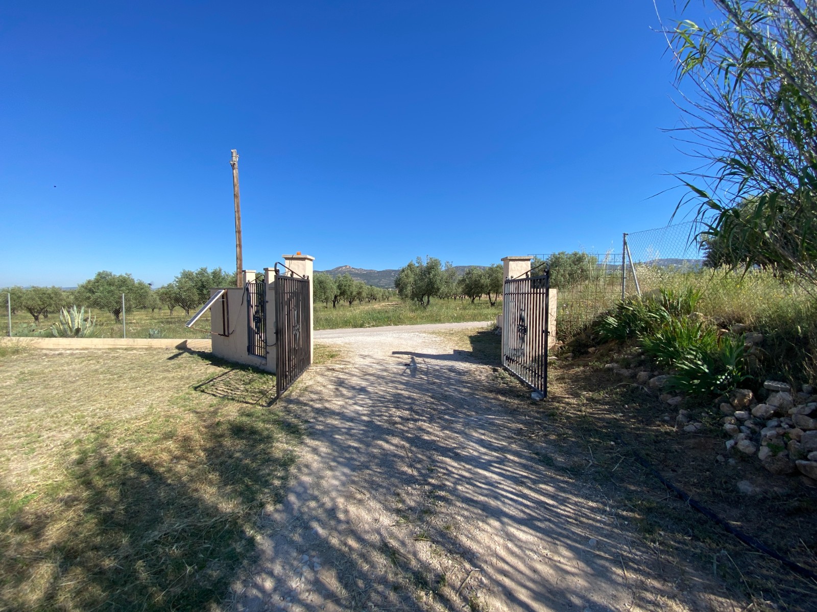 Finca/Rustic Property in Sax (Ref: 18229)