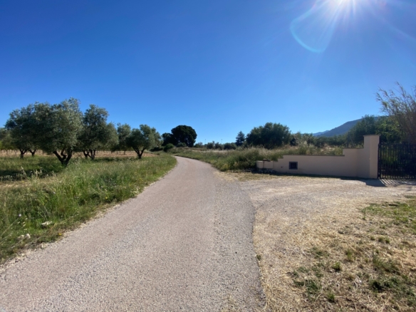 Finca/Rustic Property in Sax (Ref: 18229)