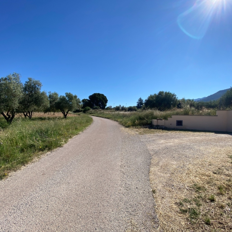 Finca/Rustic Property in Sax (Ref: 18229)