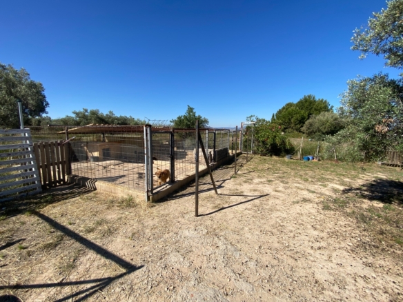 Finca/Rustic Property in Sax (Ref: 18229)