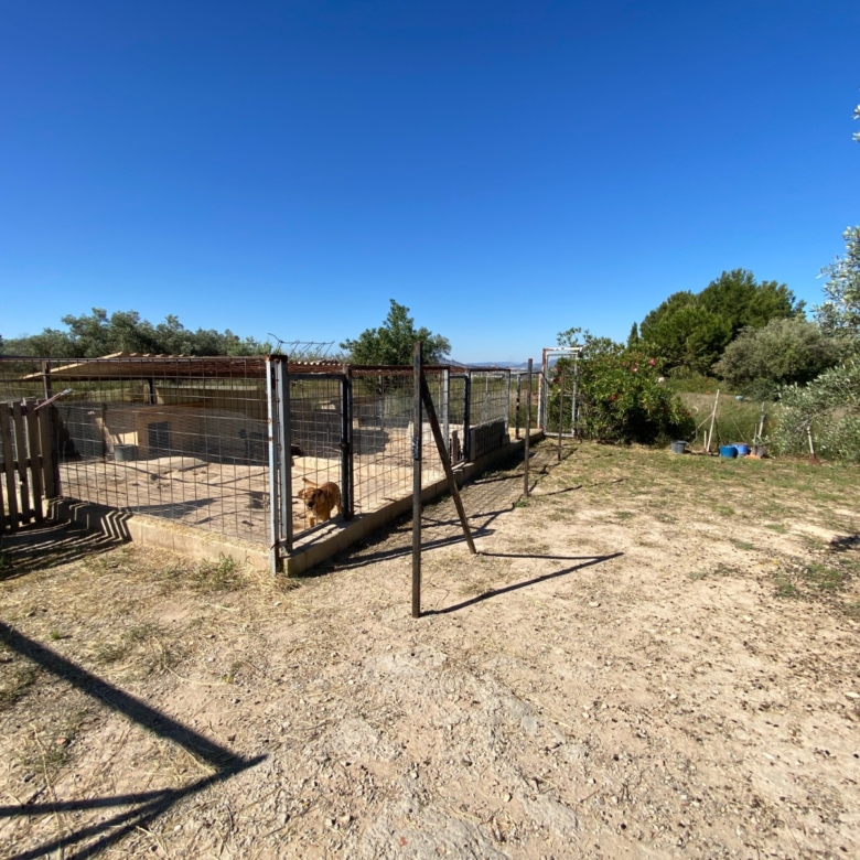 Finca/Rustic Property in Sax (Ref: 18229)