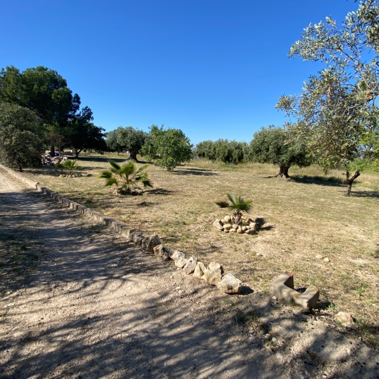 Finca/Rustic Property in Sax (Ref: 18229)