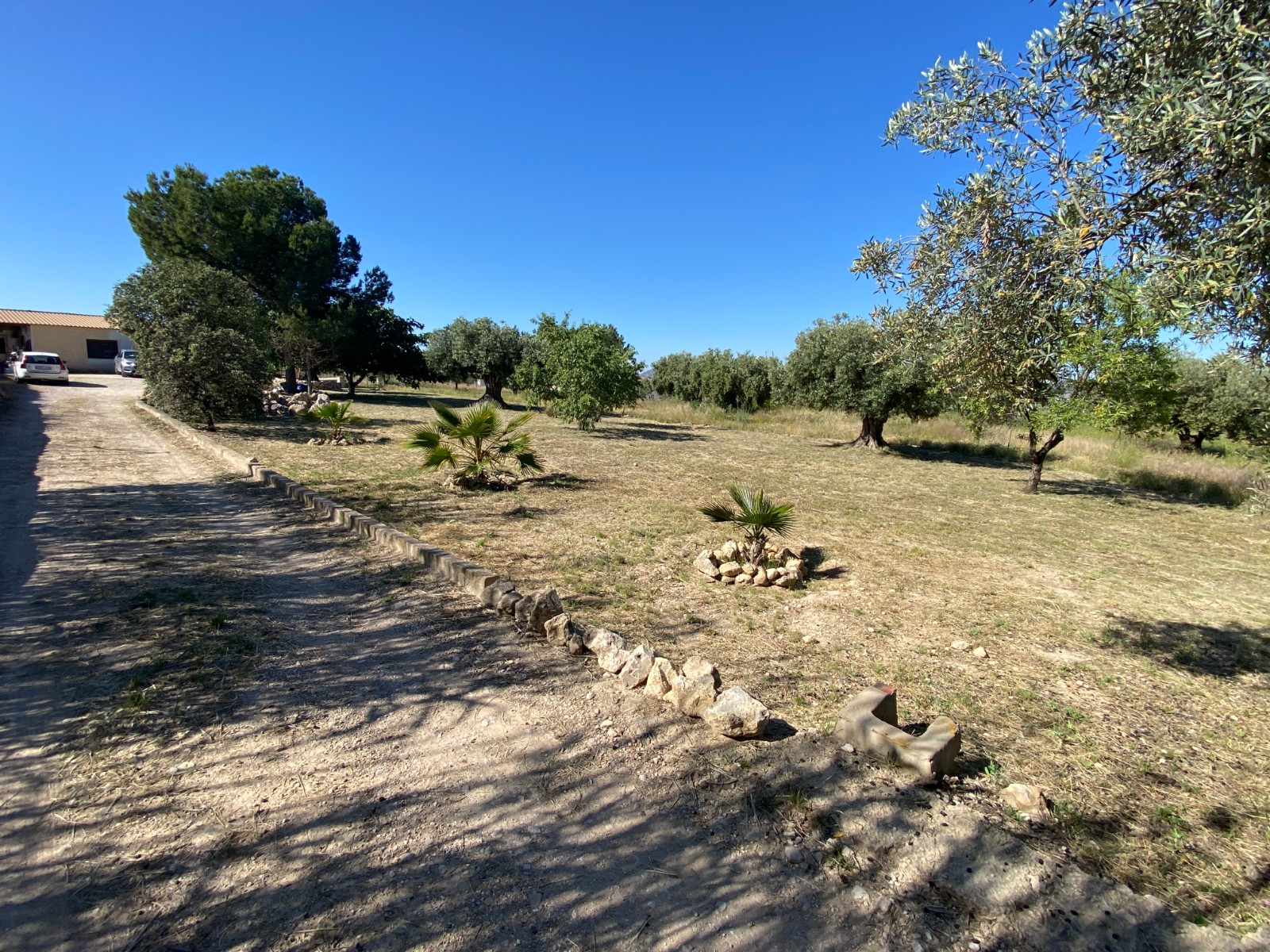 Finca/Rustic Property in Sax (Ref: 18229)