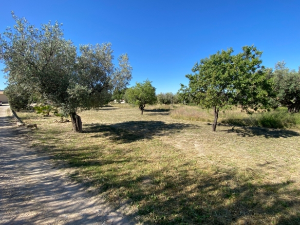 Finca/Rustic Property in Sax (Ref: 18229)
