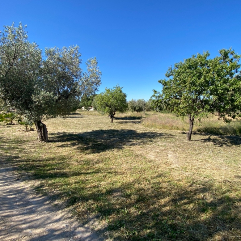 Finca/Rustic Property in Sax (Ref: 18229)