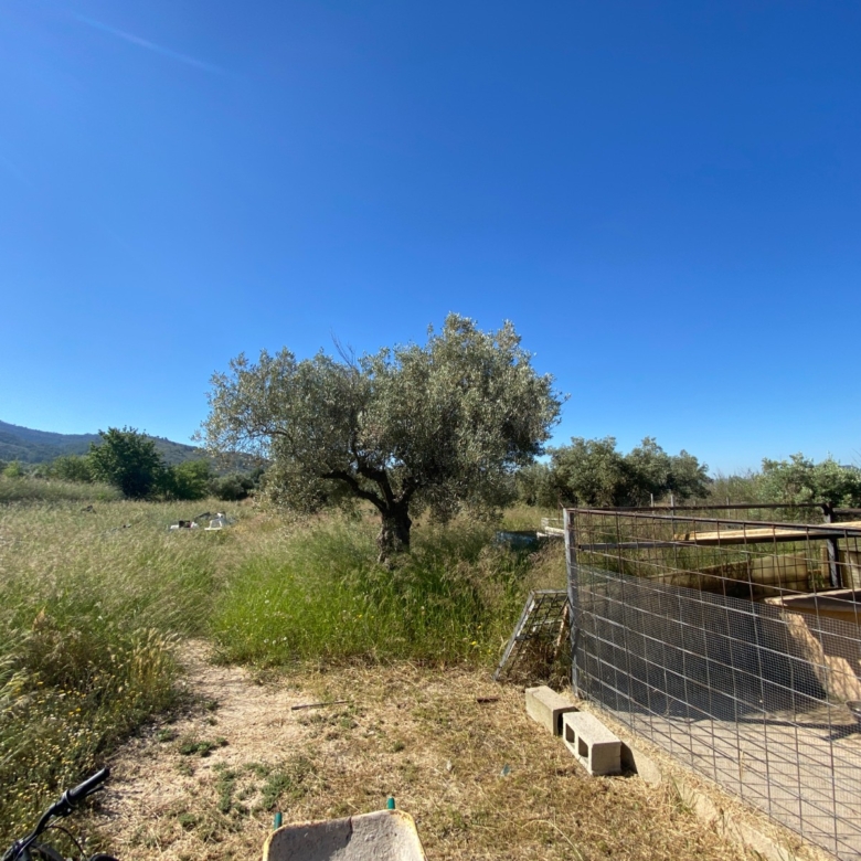Finca/Rustic Property in Sax (Ref: 18229)