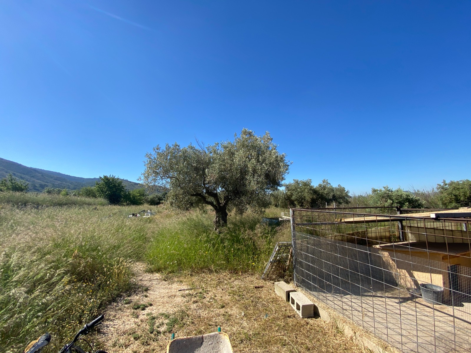 Finca/Rustic Property in Sax (Ref: 18229)