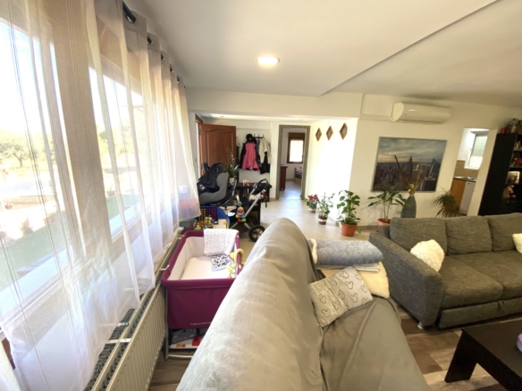 Finca/Rustic Property in Sax (Ref: 18229)