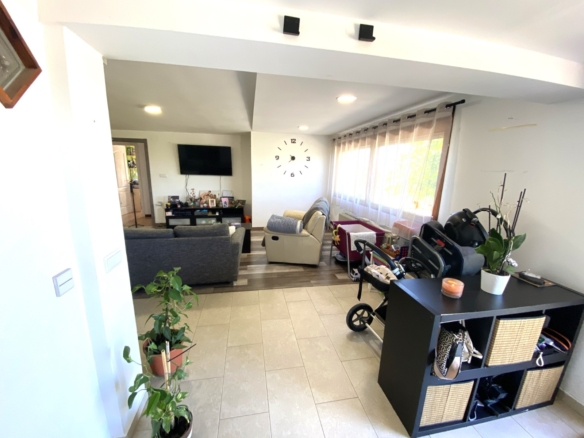 Finca/Rustic Property in Sax (Ref: 18229)