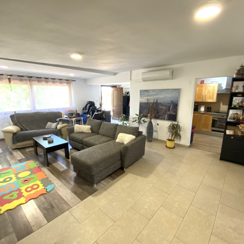 Finca/Rustic Property in Sax (Ref: 18229)