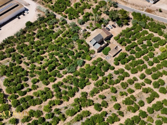 Finca Country Property in Orihuela (Ref: DLF141)