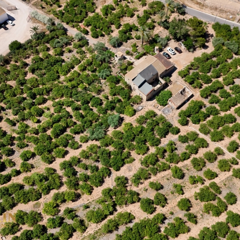 Finca Country Property in Orihuela (Ref: DLF141)