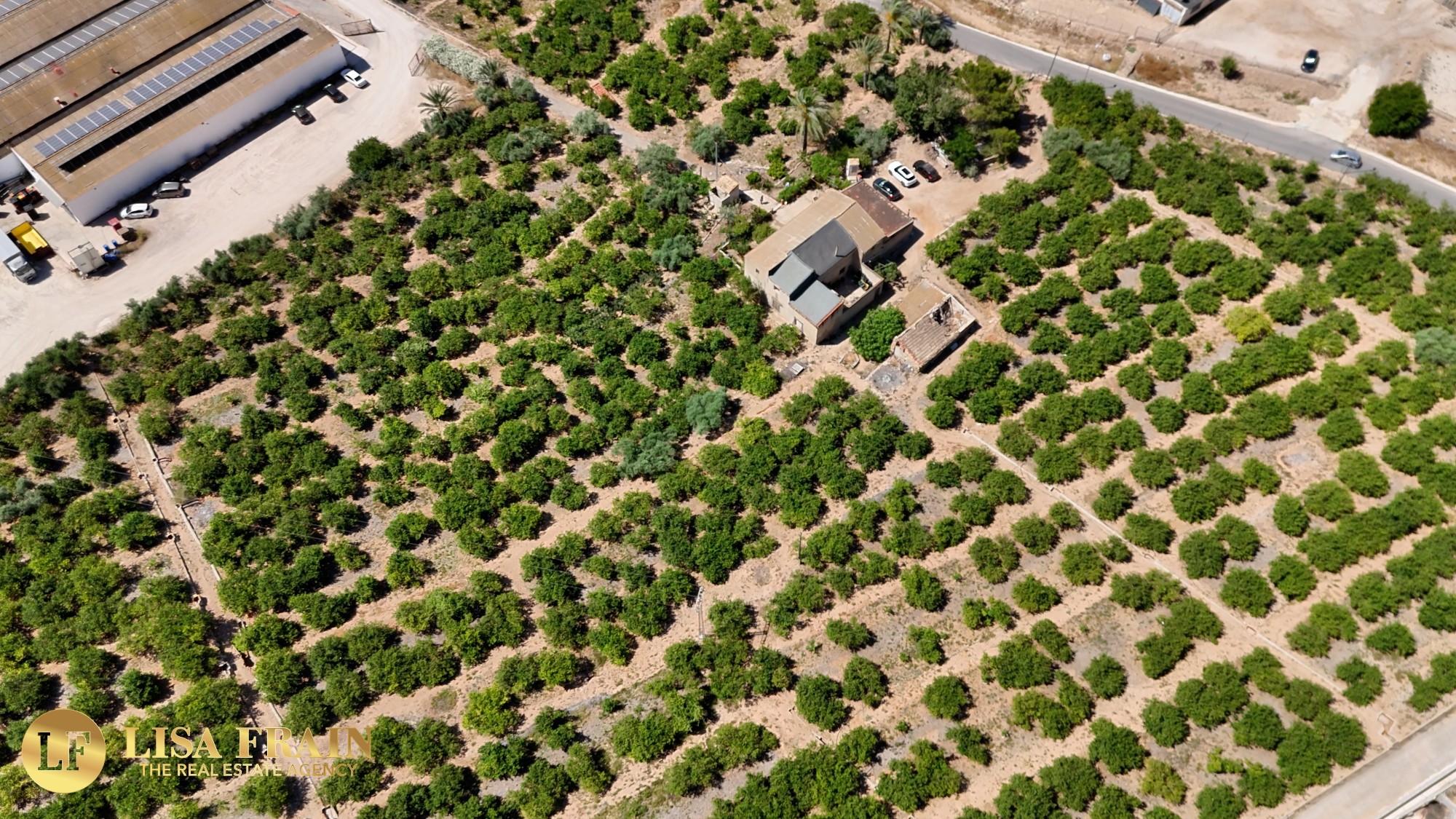 Finca Country Property in Orihuela (Ref: DLF141)