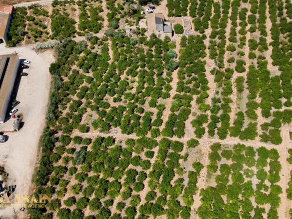 Finca Country Property in Orihuela (Ref: DLF141)