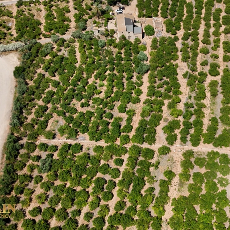 Finca Country Property in Orihuela (Ref: DLF141)