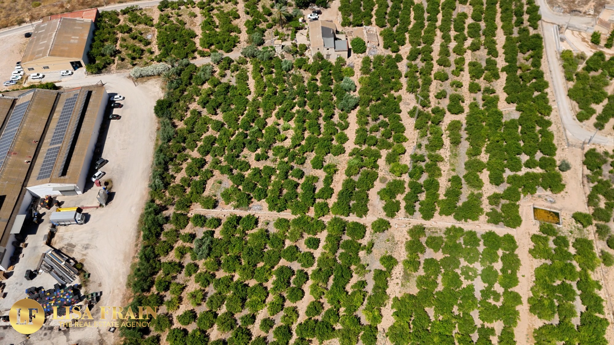 Finca Country Property in Orihuela (Ref: DLF141)