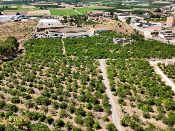 Finca Country Property in Orihuela (Ref: DLF141)