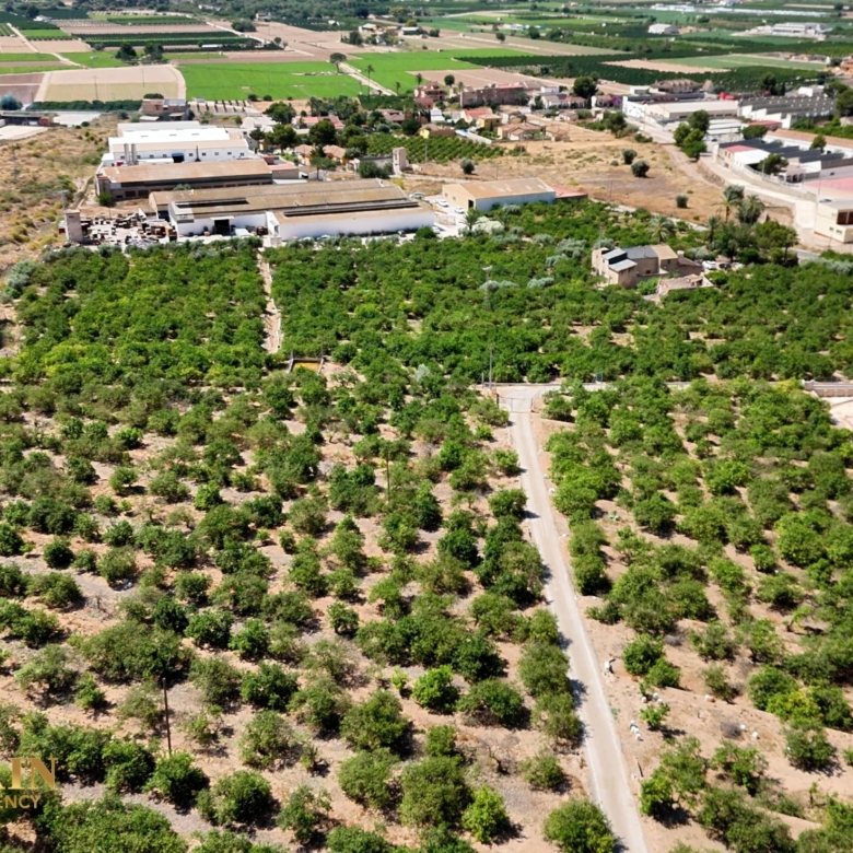 Finca Country Property in Orihuela (Ref: DLF141)