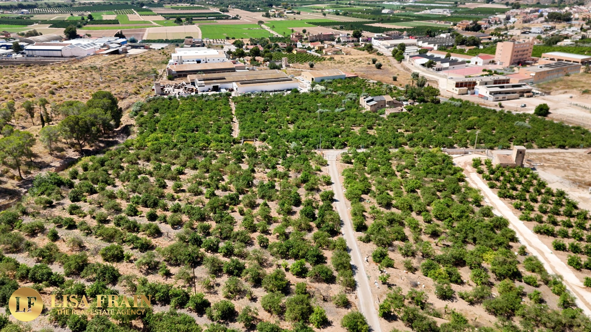 Finca Country Property in Orihuela (Ref: DLF141)
