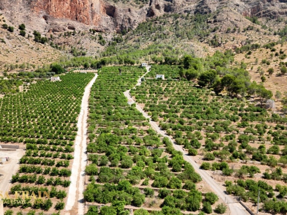 Finca Country Property in Orihuela (Ref: DLF141)