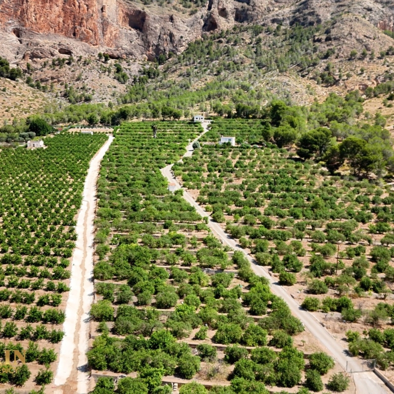 Finca Country Property in Orihuela (Ref: DLF141)