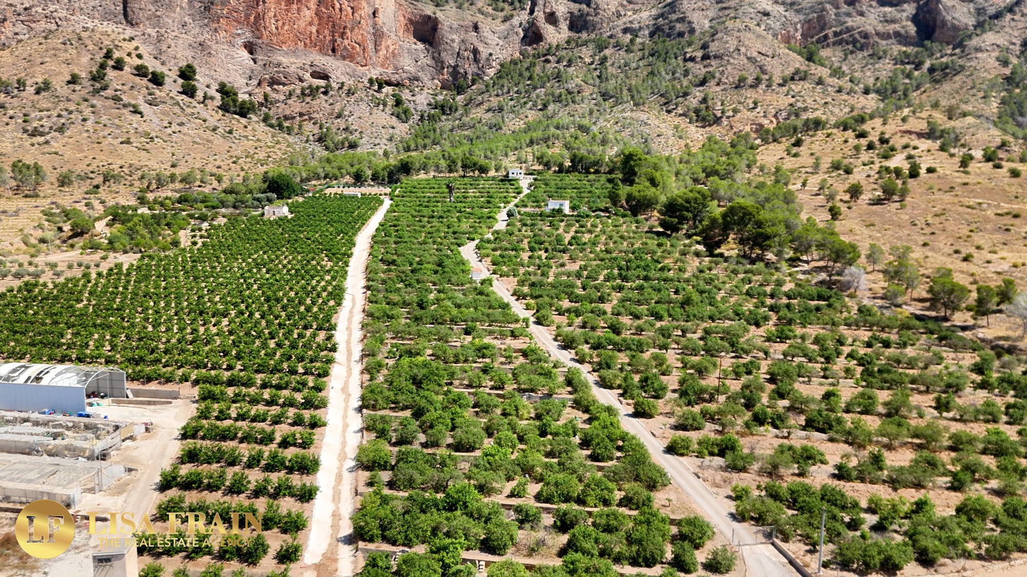Finca Country Property in Orihuela (Ref: DLF141)