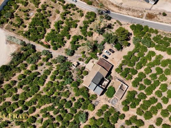 Finca Country Property in Orihuela (Ref: DLF141)