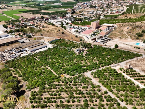 Finca Country Property in Orihuela (Ref: DLF141)