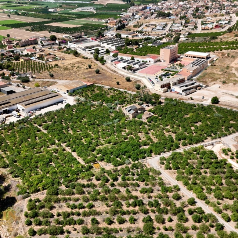 Finca Country Property in Orihuela (Ref: DLF141)